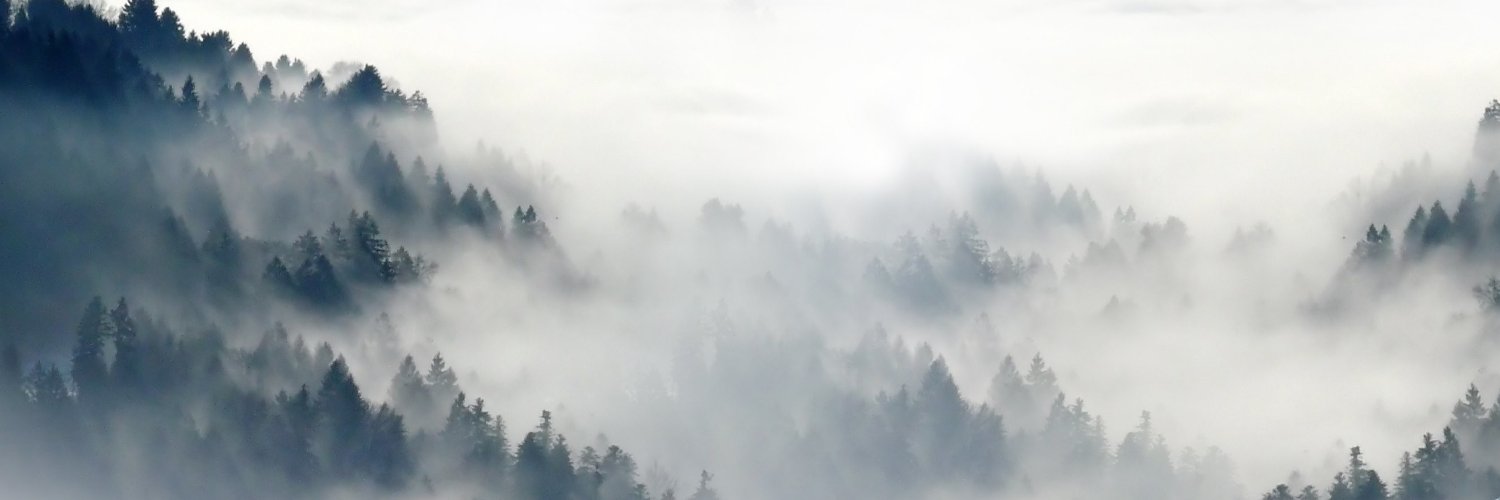 rmznkpdl's profile banner image