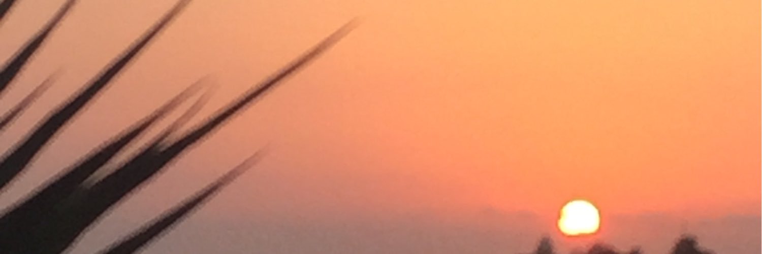yaniduque's profile banner image