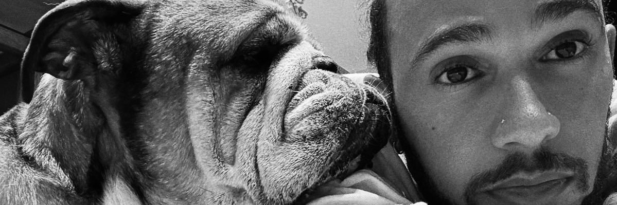 Jenni_L44's profile banner image