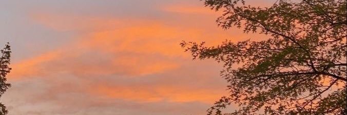 draserotonina_'s profile banner image