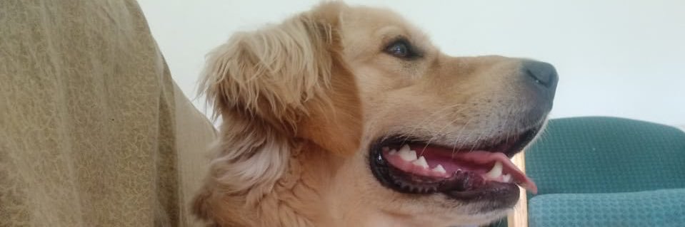 WooptyRS's profile banner image