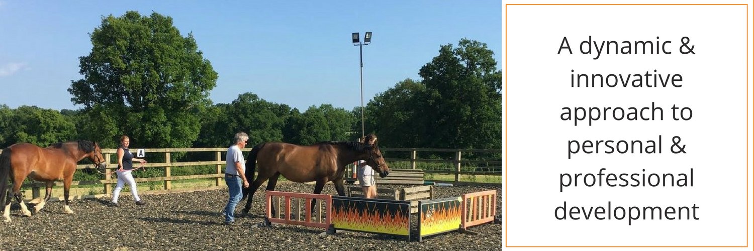EquineAffinity's profile banner image