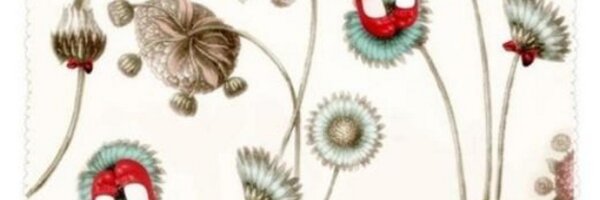 matitos Profile Banner