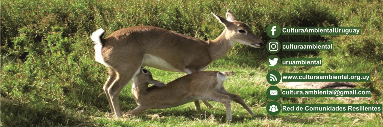 uruambiental's profile banner image