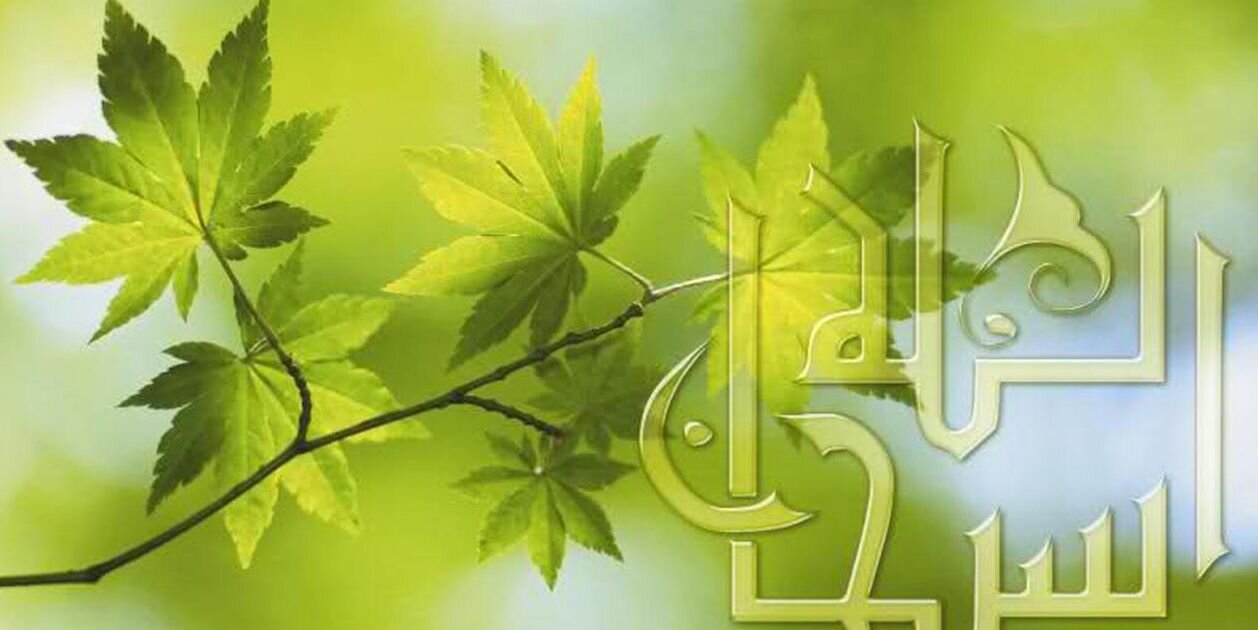 mzeilah's profile banner image