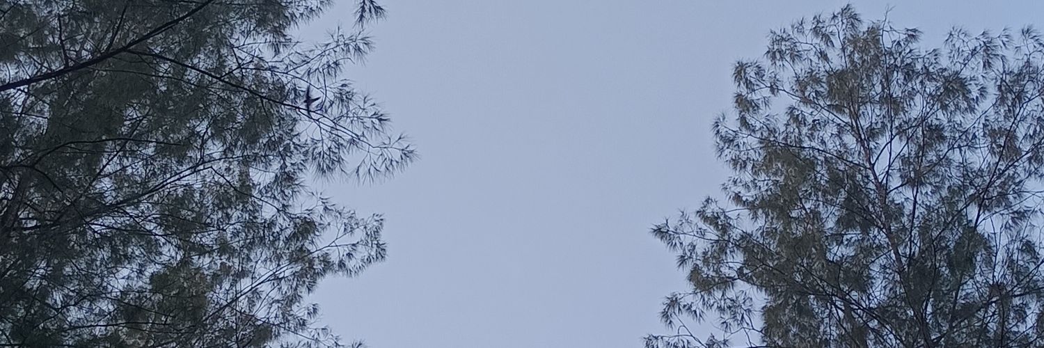 wayoeich's profile banner image
