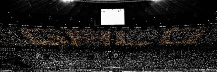 Nin🅰️ 🇧🇷🇧🇷 banner