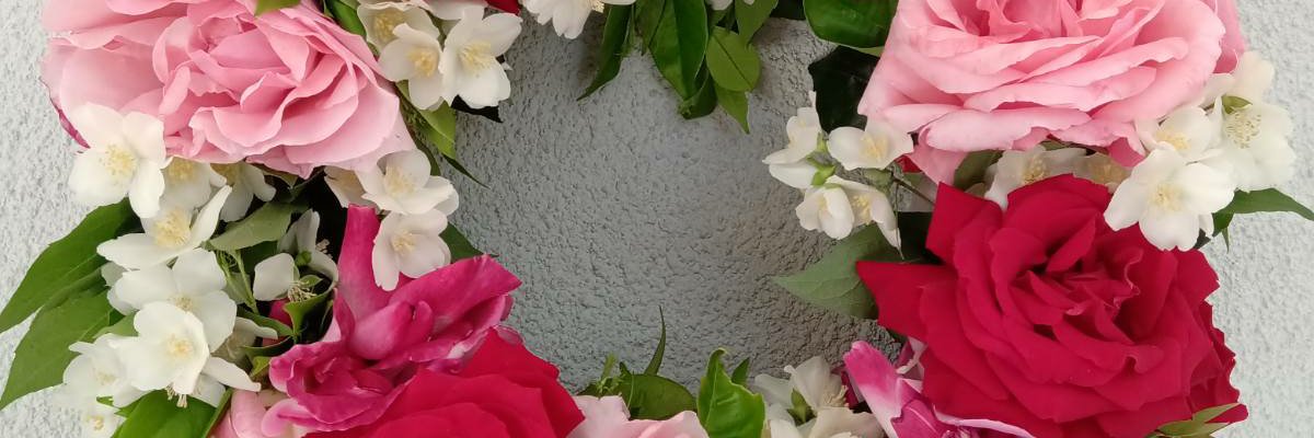 Anastazia__'s profile banner image