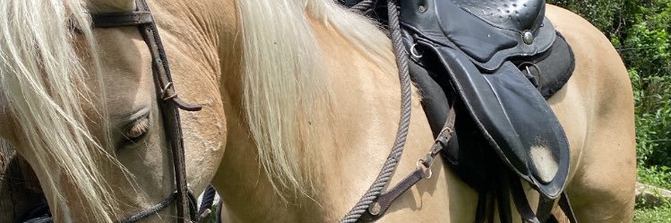 pedrobatista021's profile banner image
