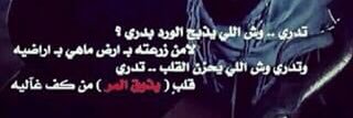 qalpos's profile banner image