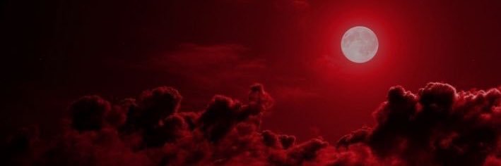 Trimothée Chalamet ✞✞ banner