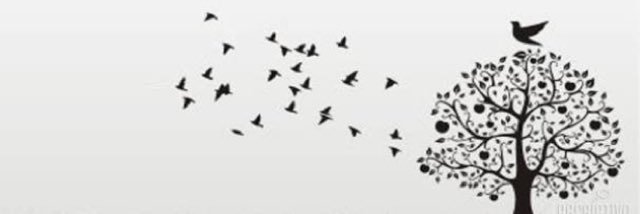 gi_cruz's profile banner image