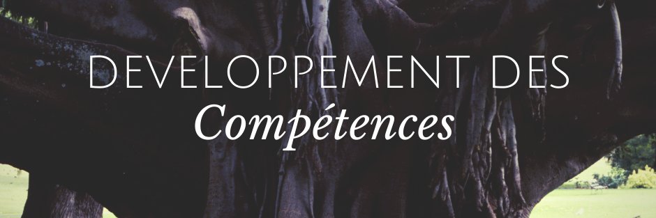 PEDAGOFORM Pédagogie et Formation banner