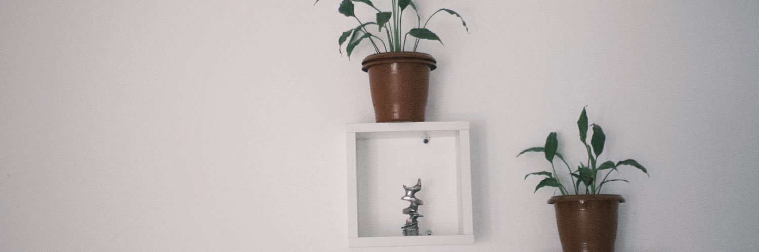 blakevll's profile banner image