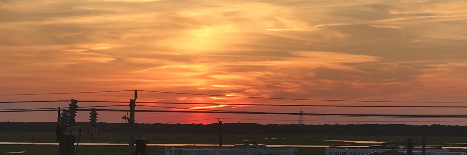 meg_lindss's profile banner image