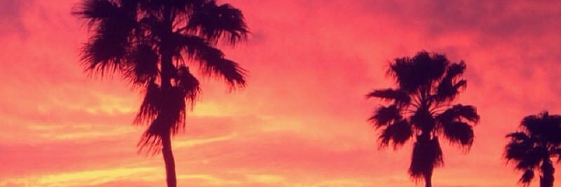 DL banner