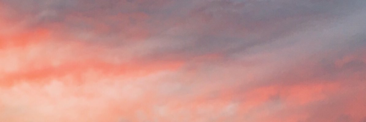 tgrandmaison's profile banner image