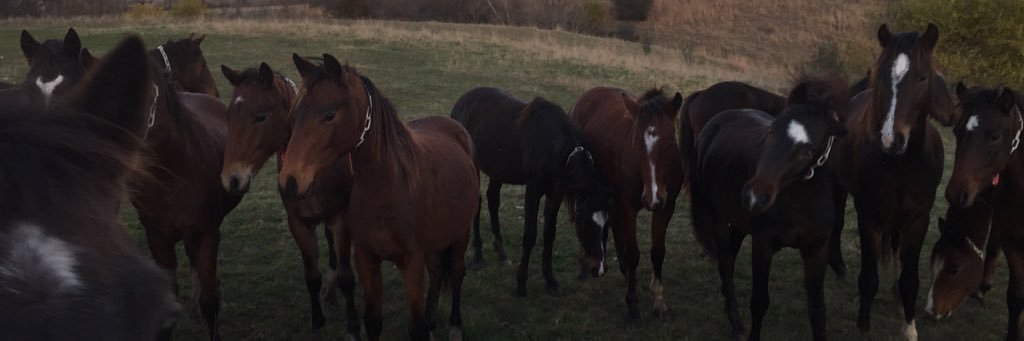 Sjoneslaw's profile banner image
