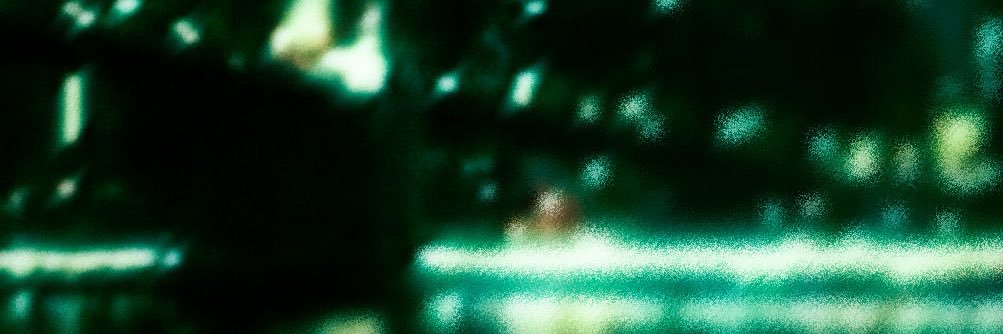 brds banner