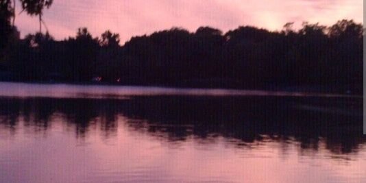 The_RatKing_'s profile banner image