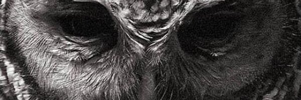 R0MMSEN Profile Banner