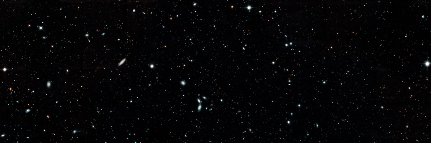 Rusty Meadows banner