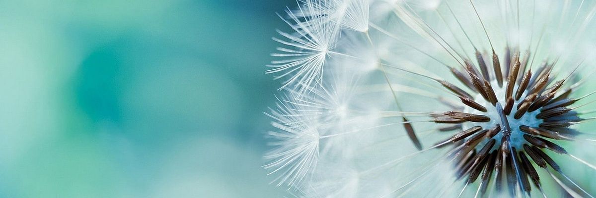 CarolineFriend1's profile banner image