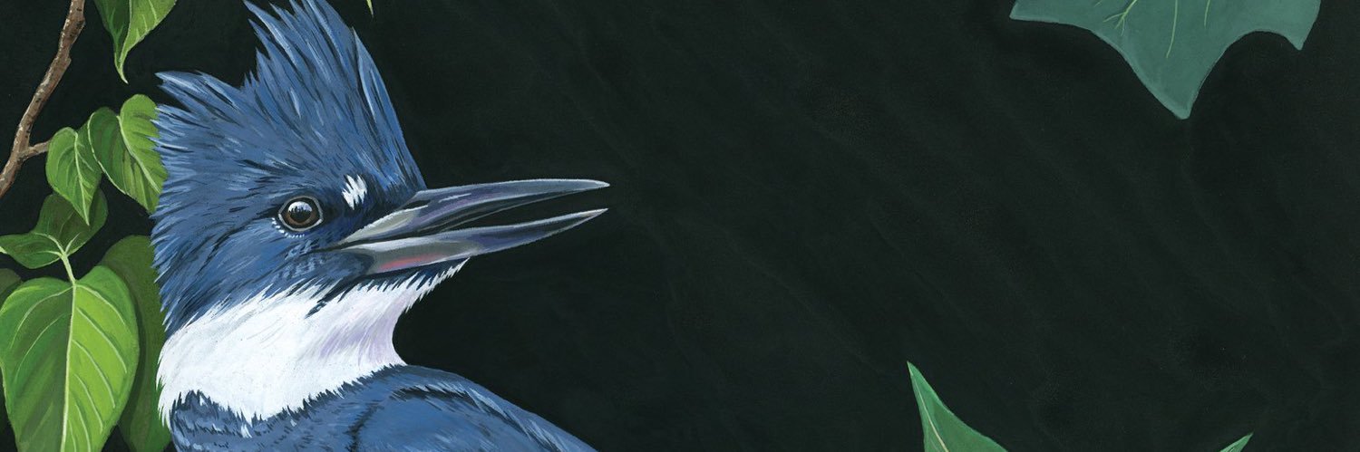 Amer. Birding Assoc. banner