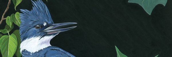 ABA Profile Banner