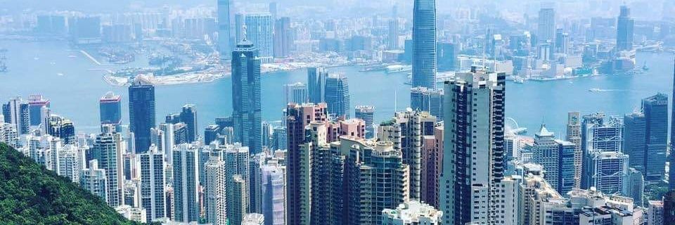 Dafydd Phillips banner