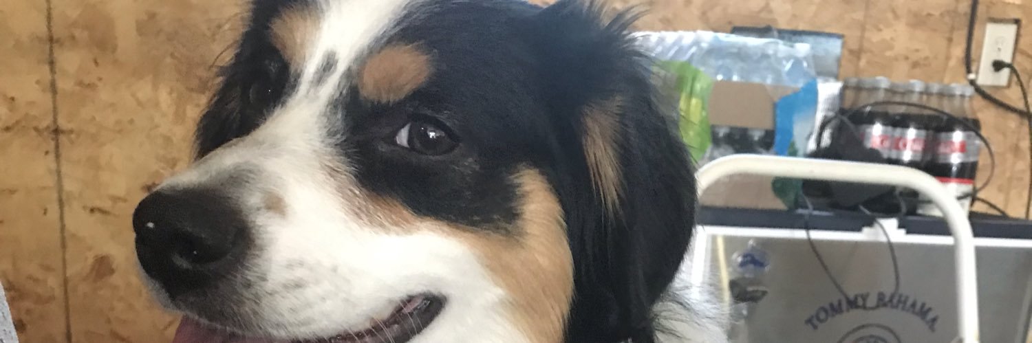 brentodento's profile banner image