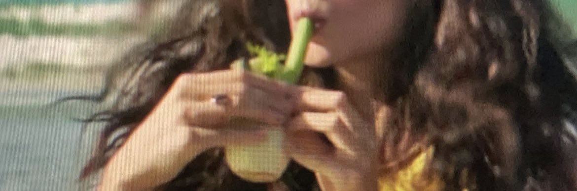 Zofia Zwieglinska banner