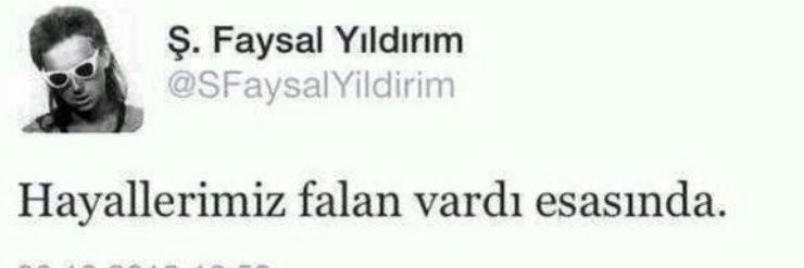 wolf of back street banner