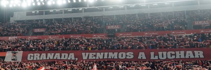 M.V.V banner