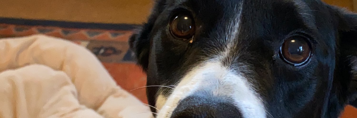 dleggettb's profile banner image