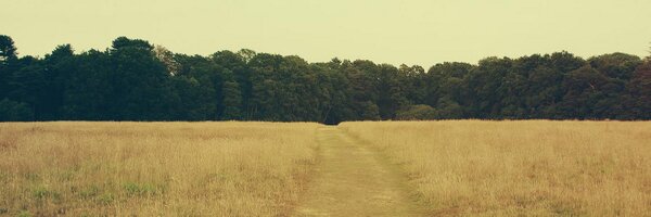 RoundTheme Profile Banner