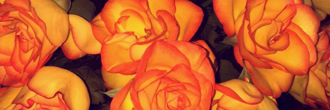 KellyVanderLoop's profile banner image