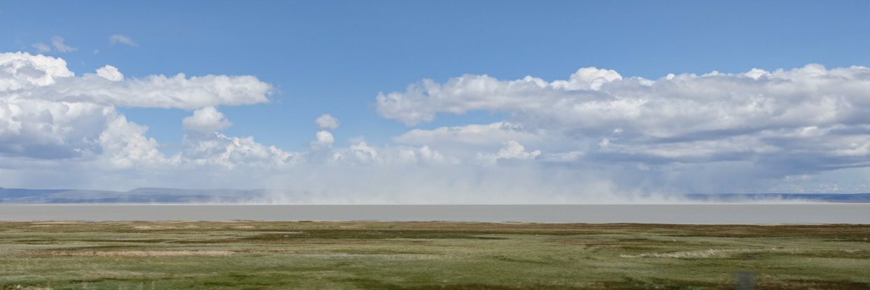 Martha Harbison banner