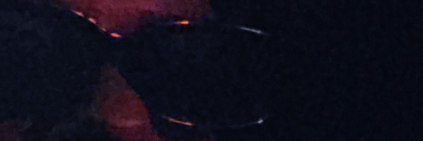 STE_XCI's profile banner image