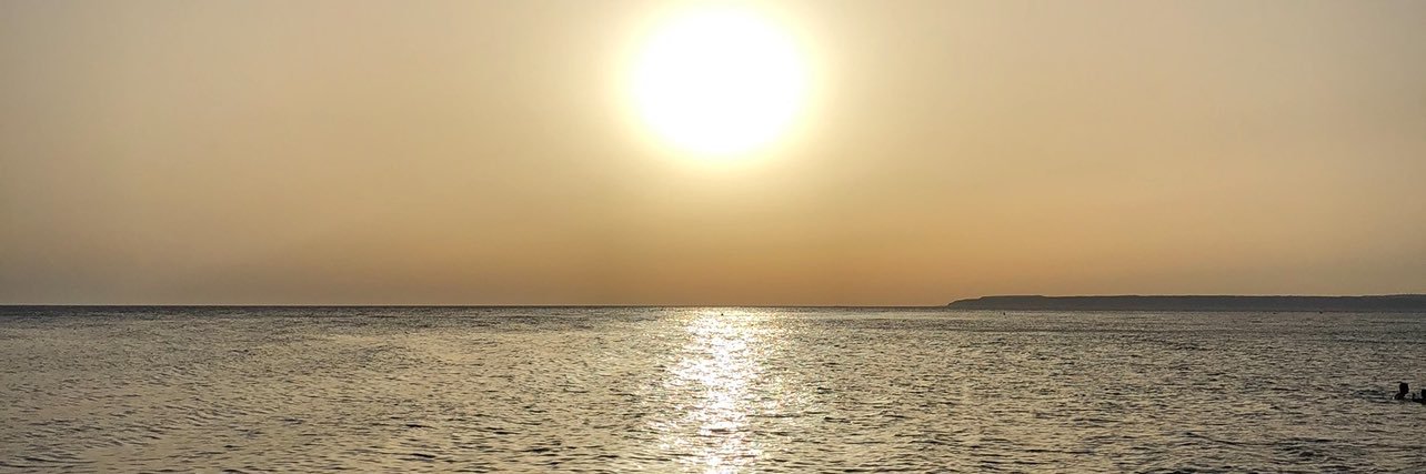 veruskie's profile banner image