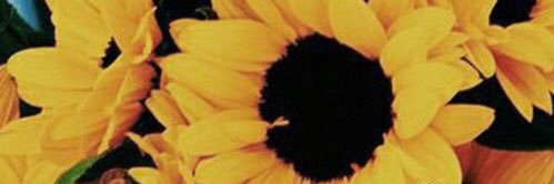 TaylorMariah1's profile banner image