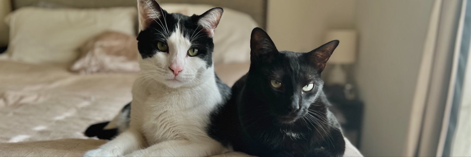 cheylmao's profile banner image