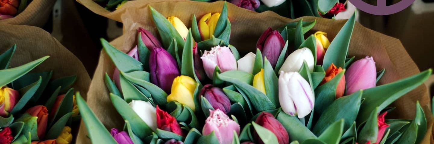 mentaflores's profile banner image