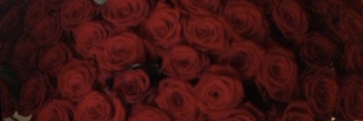 kissmy_dimples's profile banner image
