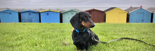 drbethang Profile Banner