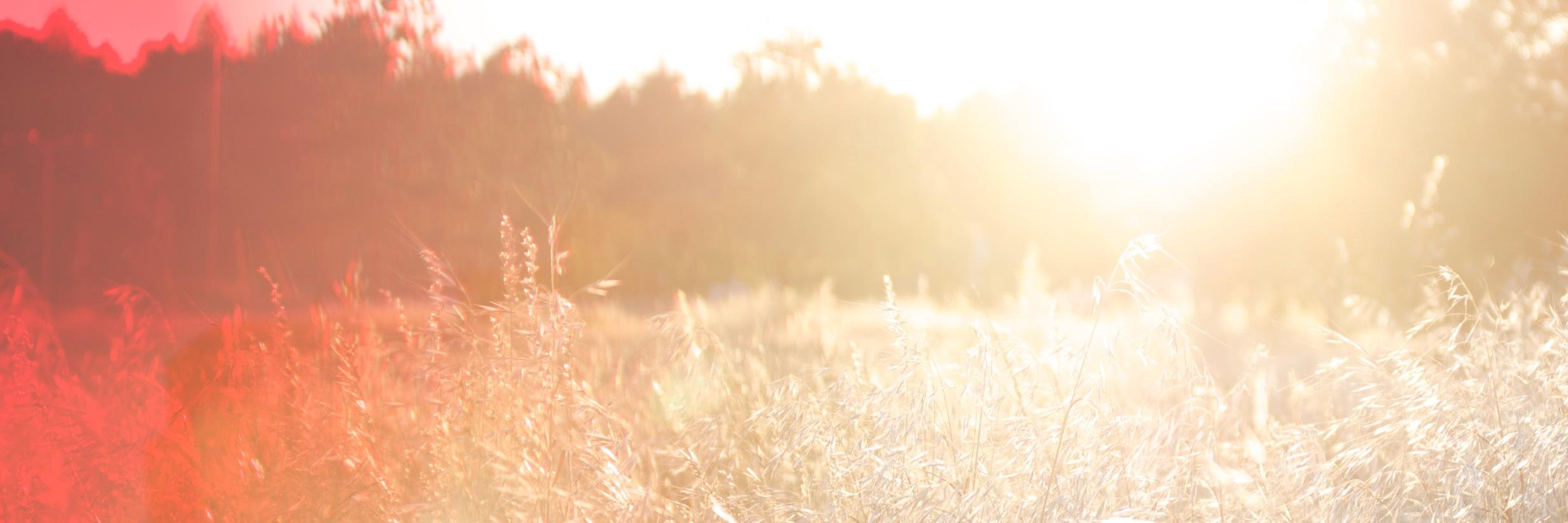 saraomusic's profile banner image