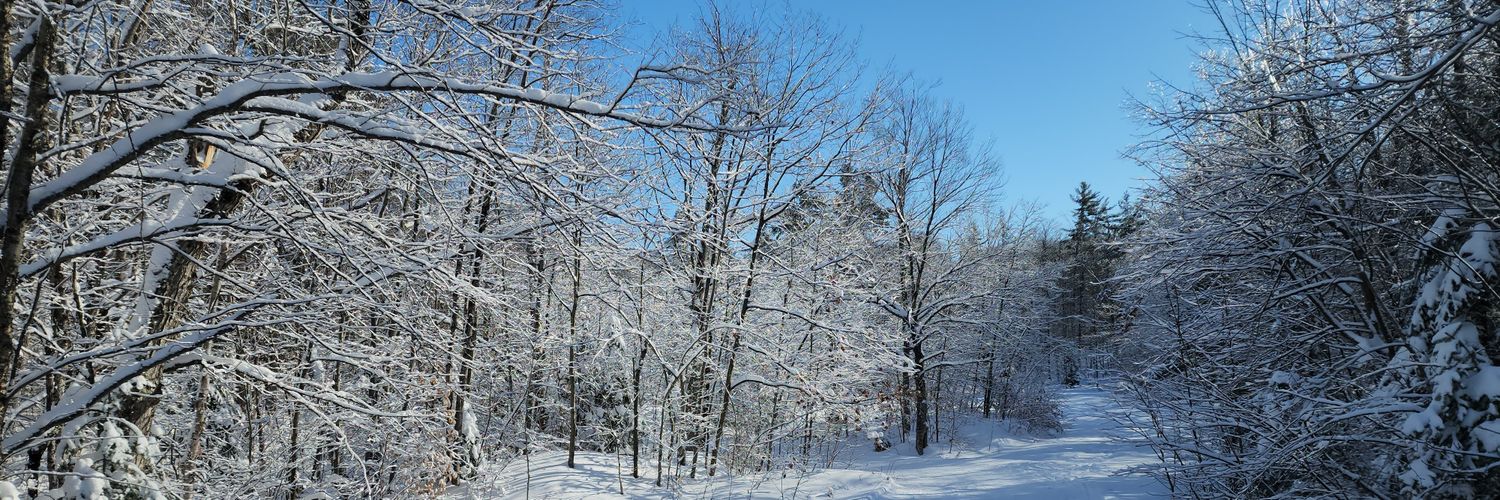 Satvinder Singh Bawa banner