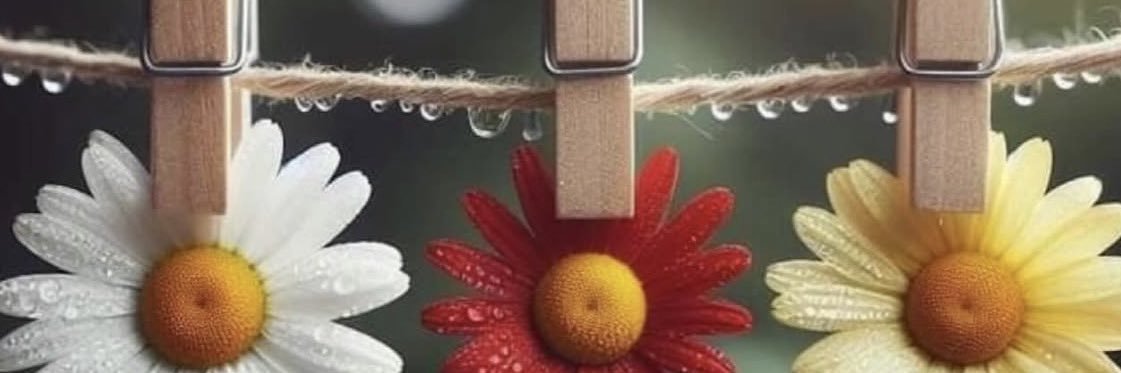 ays____ays's profile banner image