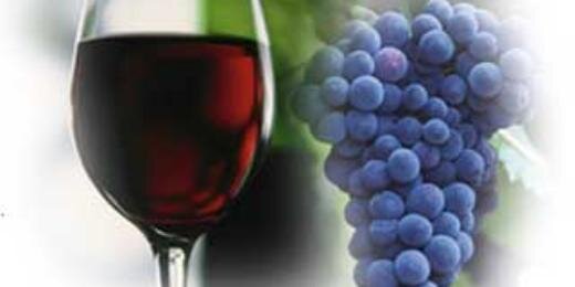 HouFoodie's profile banner image