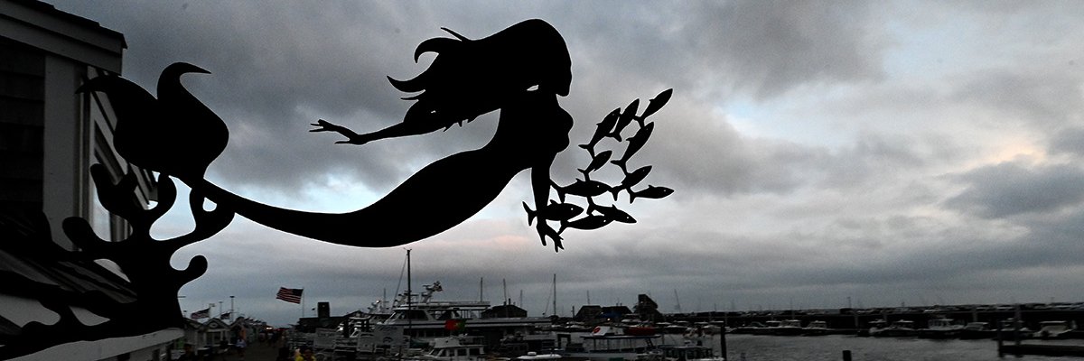 Essdras M Suarez banner